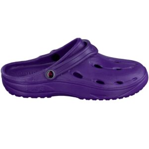 Zuecos sanitario cómodos